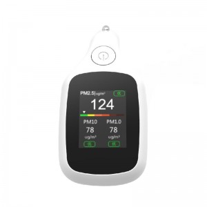 Dienmern Hot Koop PM2.5 Auto Voertuig Luchtkwaliteit detector PM1.0 Indoor Air Quality Monitor PM10
